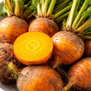 Betterave jaune cuite